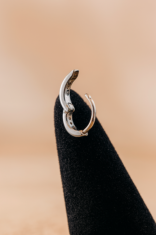 Pendientes Sublime Plateado